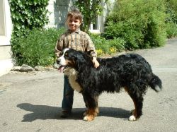 Frederik mit Colina - Sommer 2005