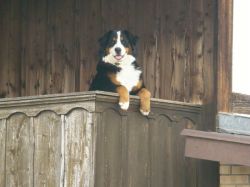 Elfi vom Hofacker - hat alles im Blick