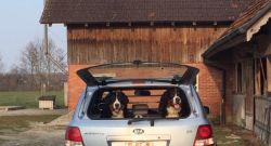 Wir fahren in die..................