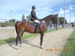 Lord Locksley und Besitzerin warten auf den Start zum Final CH-Meisterschaft d. CH-Pferde Avenches für 4-jährige Springpferde.