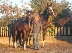 Capitain vom Hübelihof